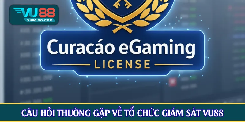 Câu hỏi thường gặp về tổ chức giám sát hoạt động VU88