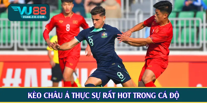 Kèo châu á thực sự rất hot trong cá độ