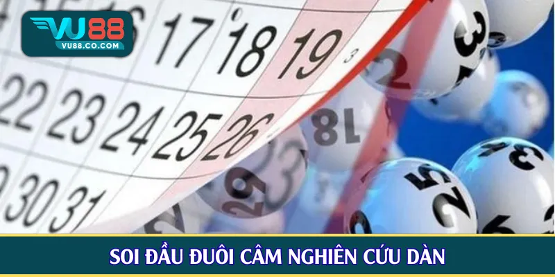 Soi đầu đuôi câm nghiên cứu dàn