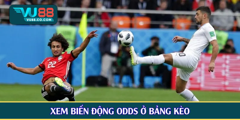 Xem biến động odds ở bảng kèo