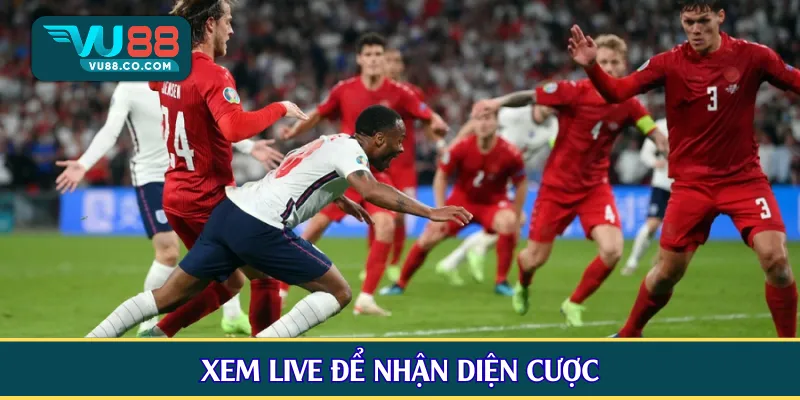 Xem live để nhận diện cược